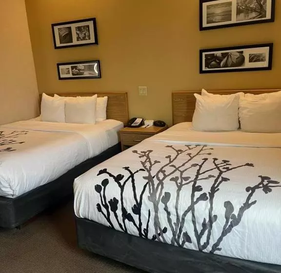 اتاق استاندارد, Sleep Inn Lynchburg University Area & Hwy 460
