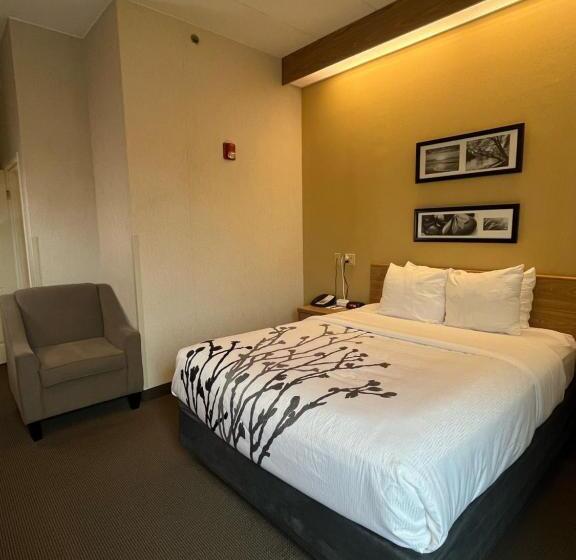 장애인을 위한 스탠다드 룸, Sleep Inn Lynchburg   University Area & Hwy 460