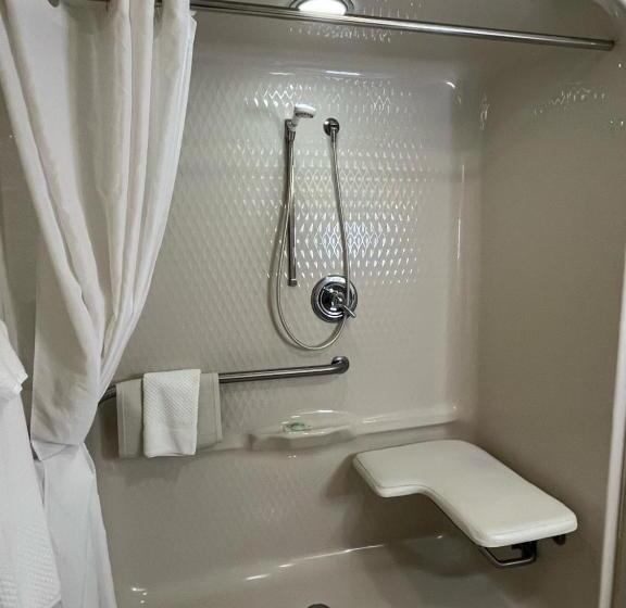 غرفة قياسية لذوى الاحتياجات الخاصة, Sleep Inn Lynchburg   University Area & Hwy 460