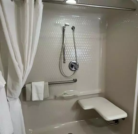 اتاق استاندارد برای معلولان, Sleep Inn Lynchburg University Area & Hwy 460