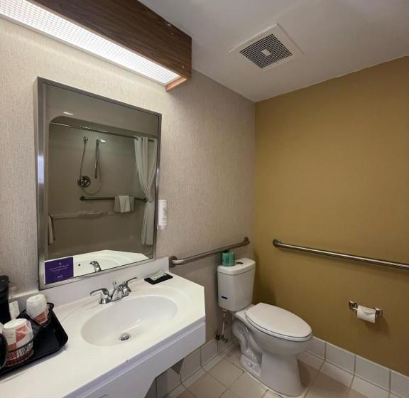 غرفة قياسية لذوى الاحتياجات الخاصة, Sleep Inn Lynchburg   University Area & Hwy 460