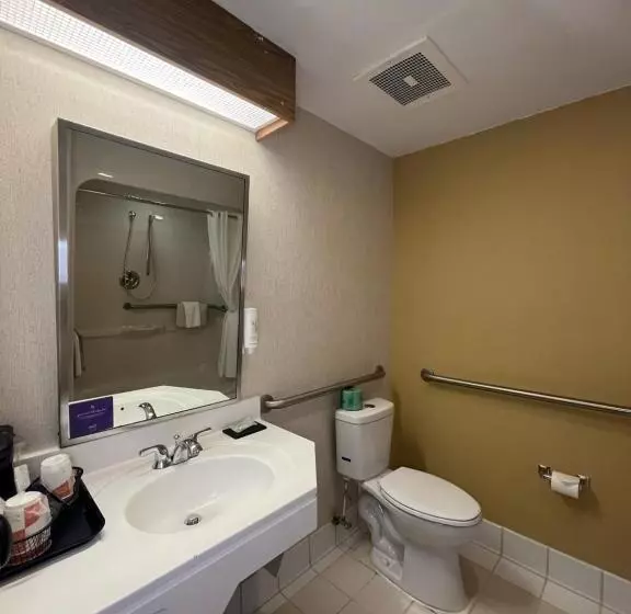 اتاق استاندارد برای معلولان, Sleep Inn Lynchburg University Area & Hwy 460