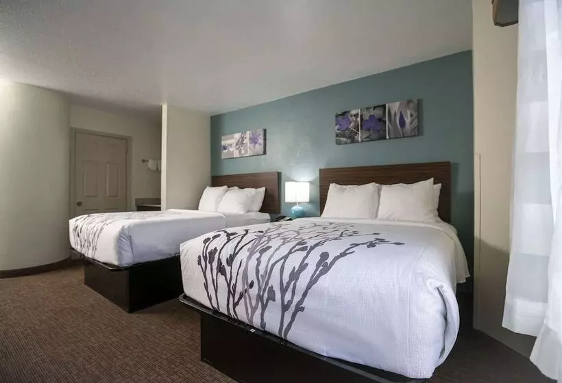 Standard-huone 2 Parivuodetta, Sleep Inn Near Outlets