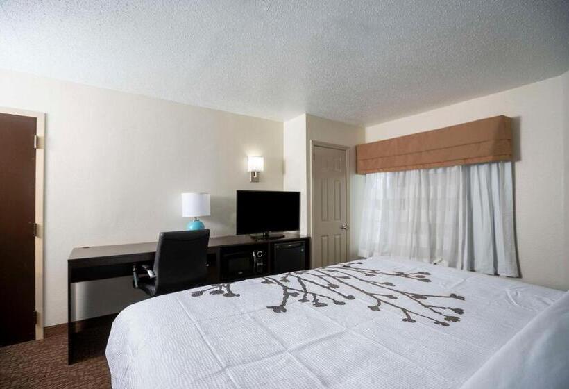 带大床的标准间, Sleep Inn Near Outlets