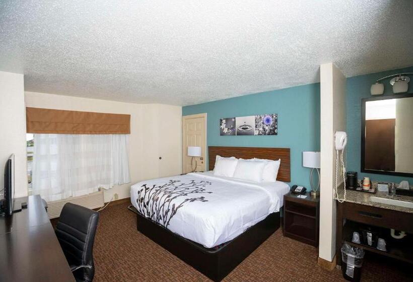 带大床的标准间, Sleep Inn Near Outlets