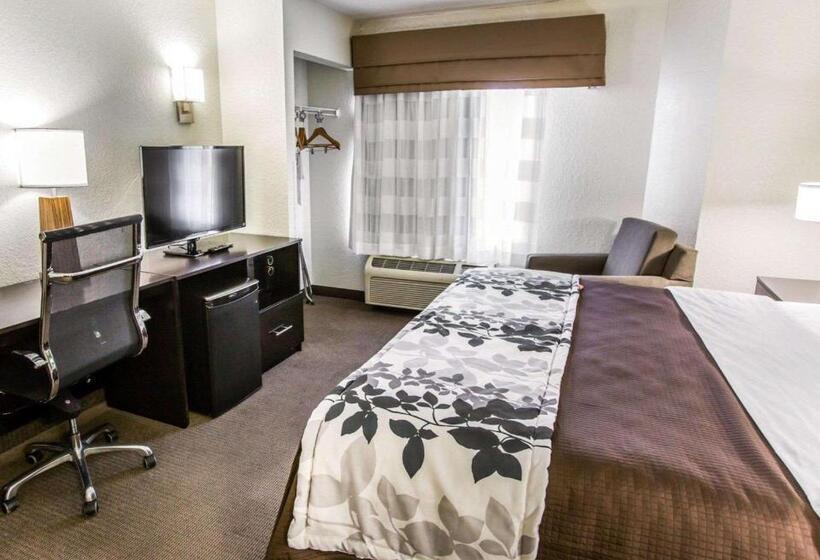 Стандартный Номер Кровать Кинг, Sleep Inn Near Outlets