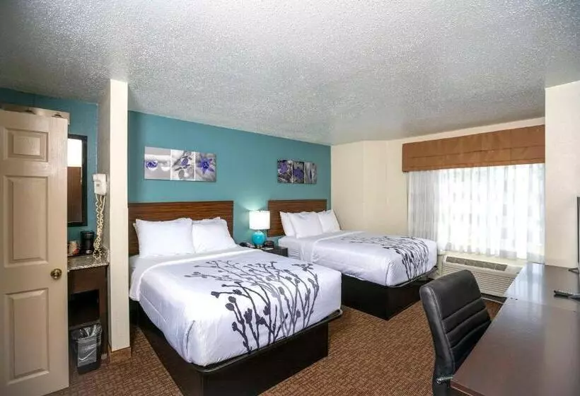 Standard-huone 2 Parivuodetta, Sleep Inn Near Outlets