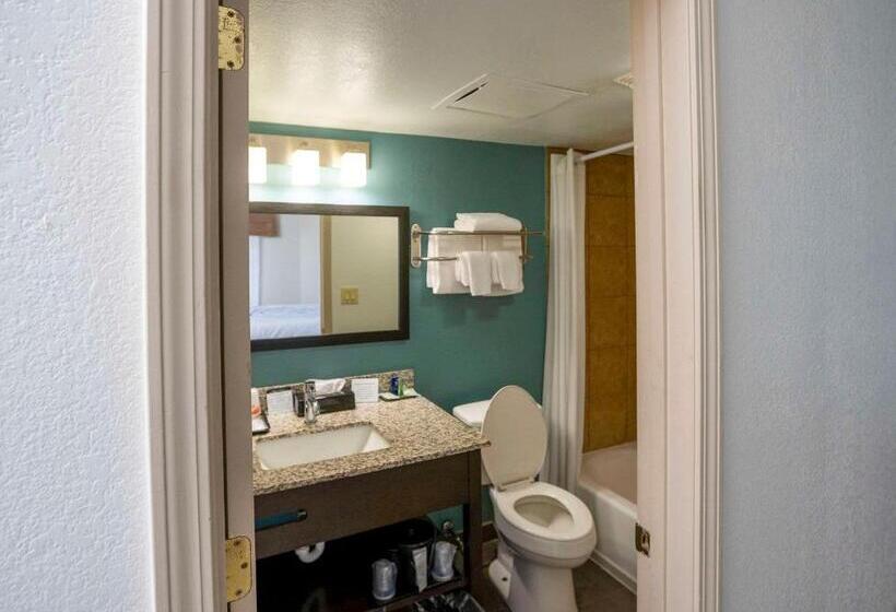 标准间, Sleep Inn Near Outlets