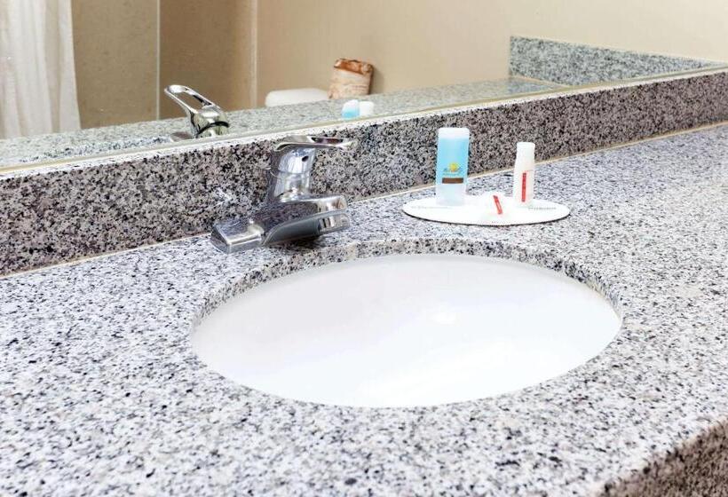 장애인을 위한 킹사이즈 침대 스탠다드 룸, Torrance Inn Lax Airport Area