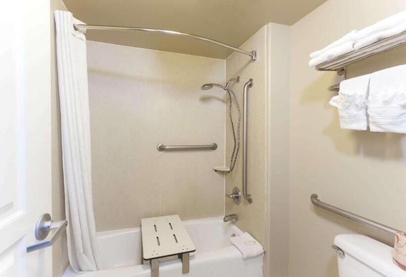 غرفة قياسية سرير كينج لذوى الإحتياجات الخاصة, Torrance Inn Lax Airport Area