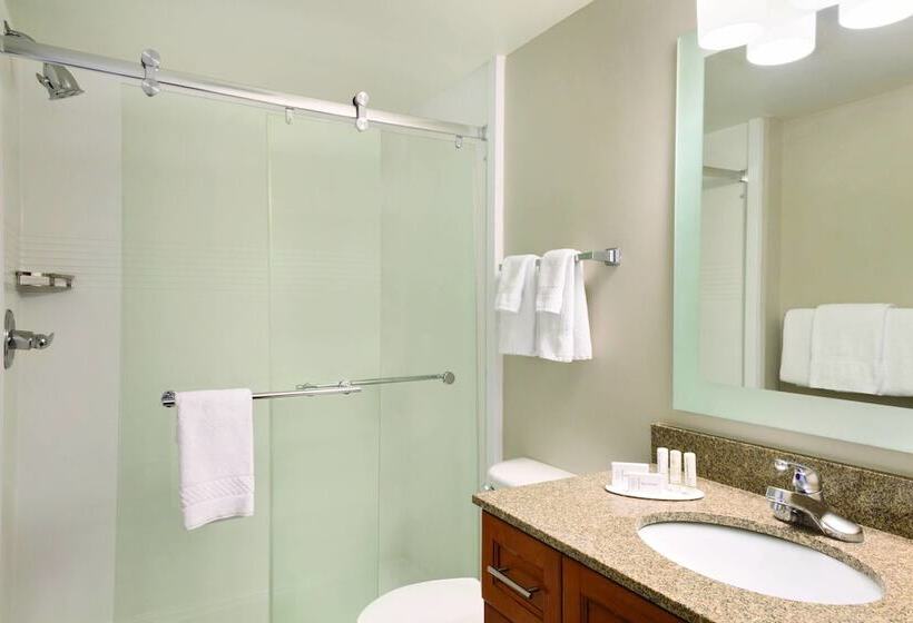 סוויטה, Towneplace Suites By Marriott Denver Downtown