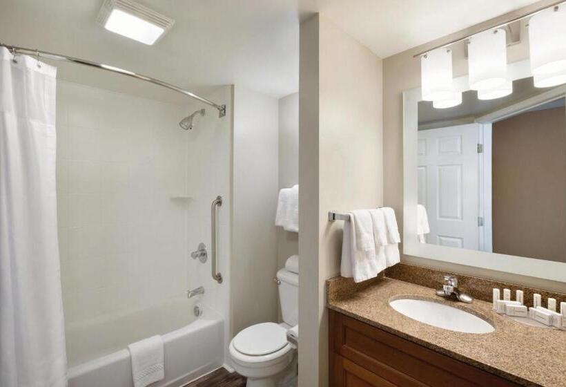 침실 2개 스위트, Towneplace Suites By Marriott Denver Downtown