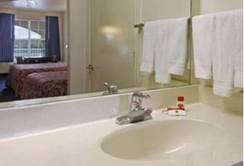 身障者適用クイーンサイズベッドルーム, Super 8 By Wyndham Greenville