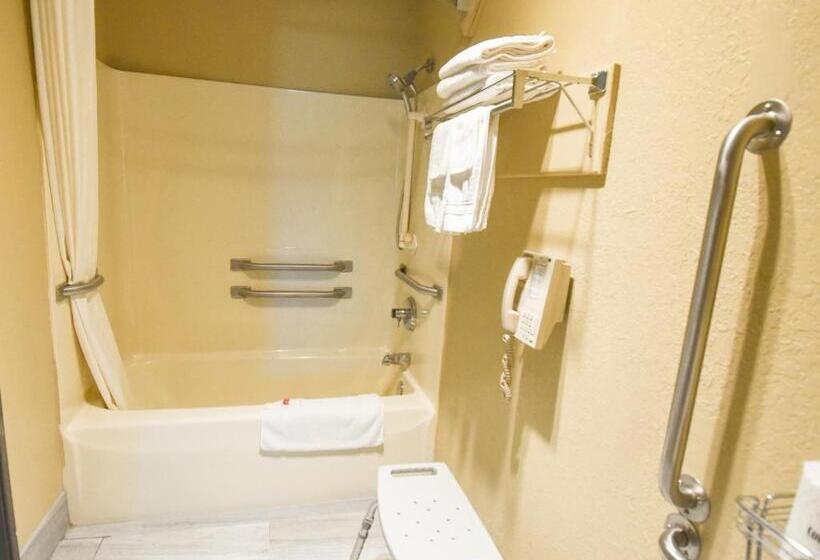 חדר סטנדרט מותאם לאדם עם מוגבלויות, Super 8 By Wyndham Mclean/bloomington Sw