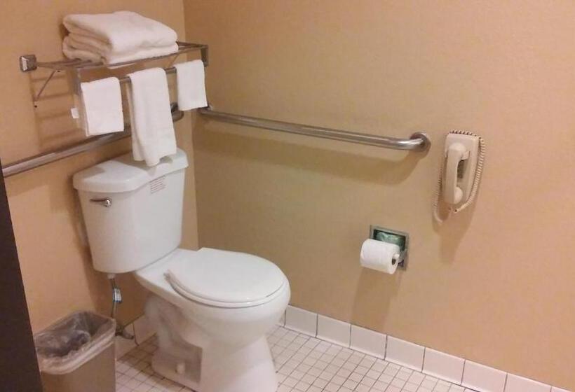 장애인을 위한 킹사이즈 침대 스탠다드 룸, Super 8 By Wyndham Mount Vernon