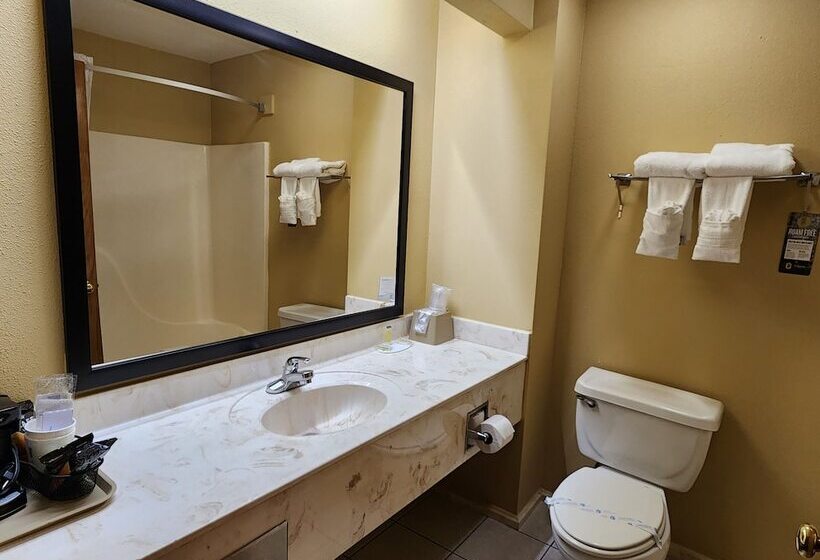 غرفة قياسية, Super 8 By Wyndham Pine Bluff