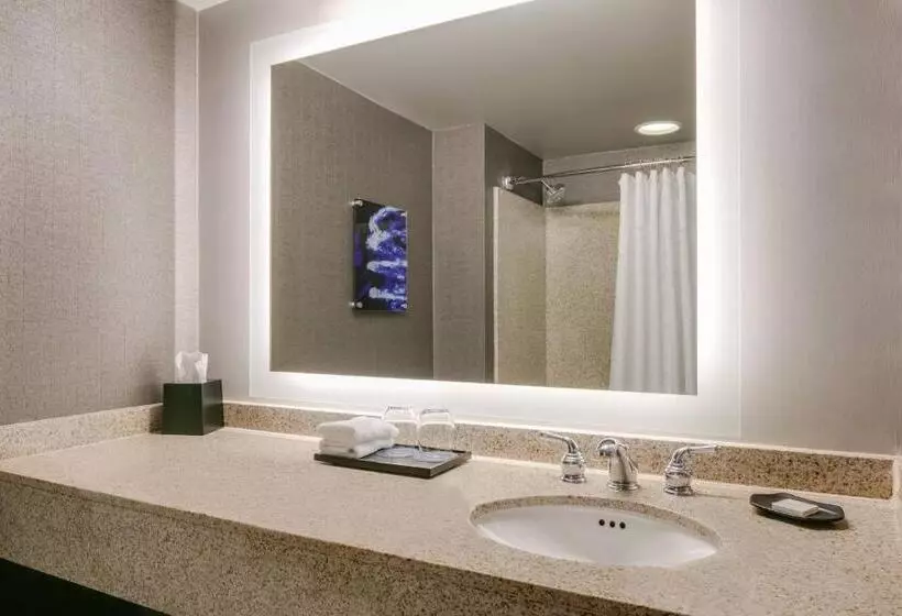キングサイズベッドのスタンダードルーム, Sheraton Overland Park Hotel At The Convention Center