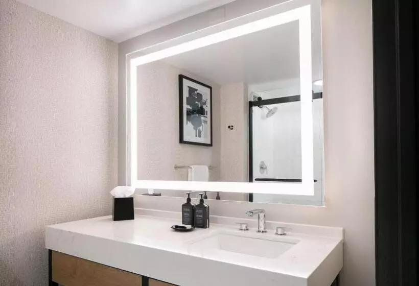 障害者適応デラックスルーム, Sheraton Overland Park Hotel At The Convention Center