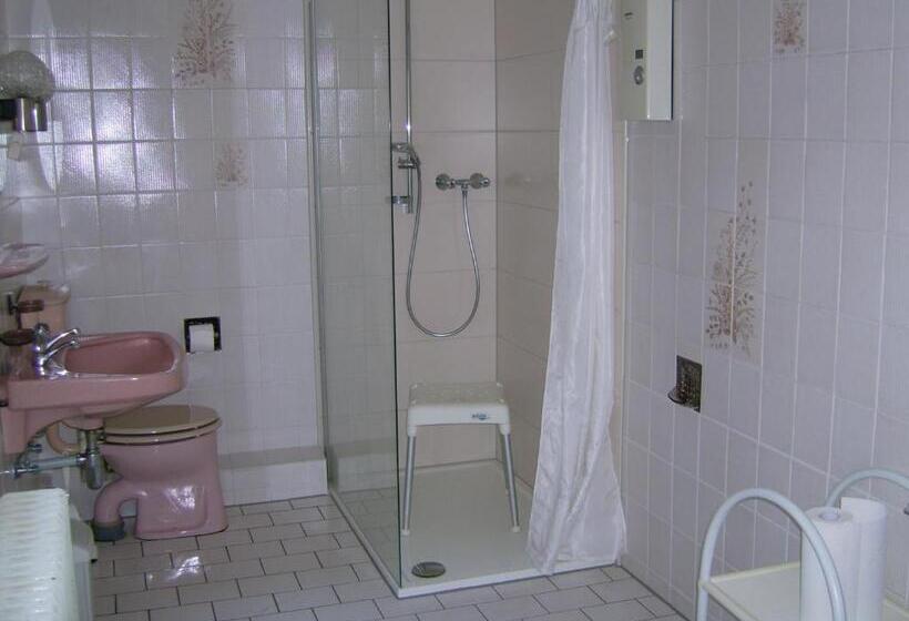 הכלכלה חדר לארבעה עם מקלחת משותפת, Gasthaus Zur Traube