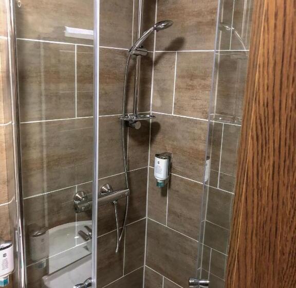 エコノミーシングルルーム, Restaurant Denis