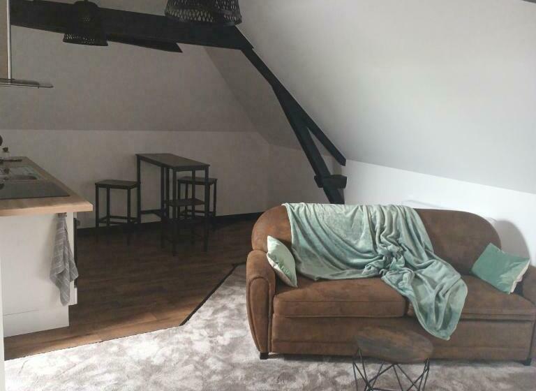 شقة غرفة واحدة, Le Ricordeau