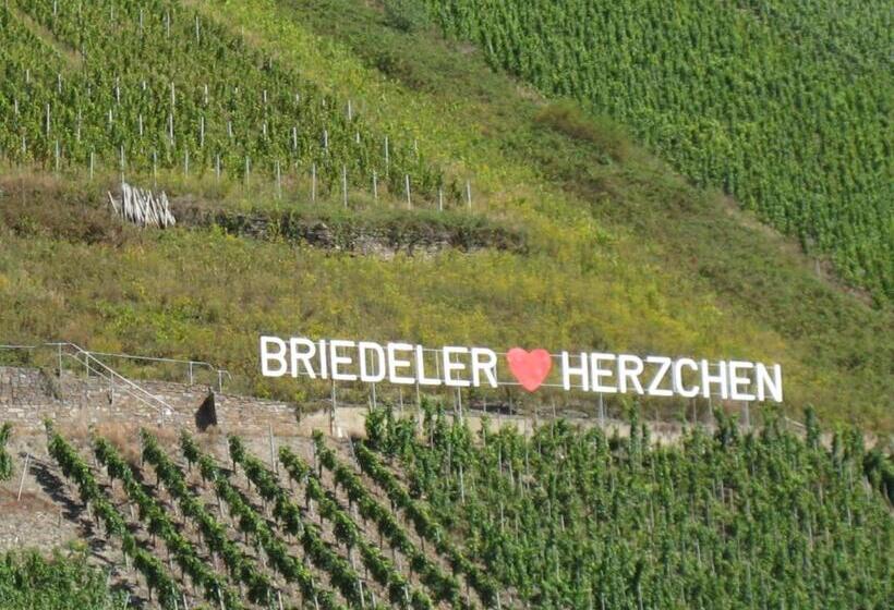 דירת חדר, Weingut Goeres