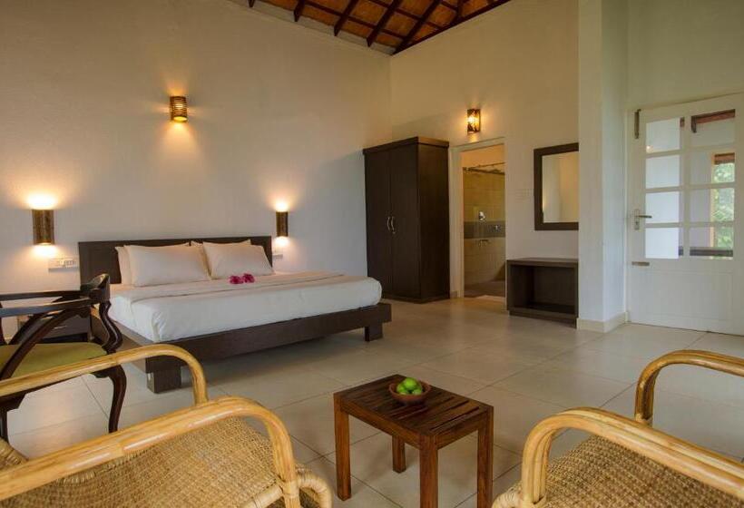 带大床的高级房间, After The Rains   Rainforest Lodge