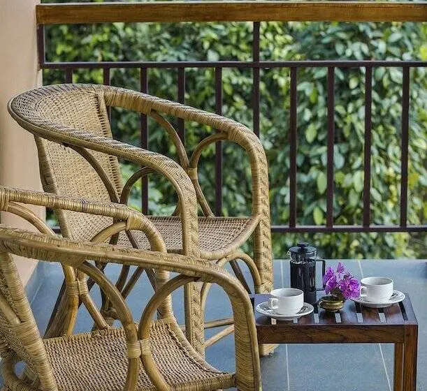 スタンダードルーム, After The Rains   Rainforest Lodge