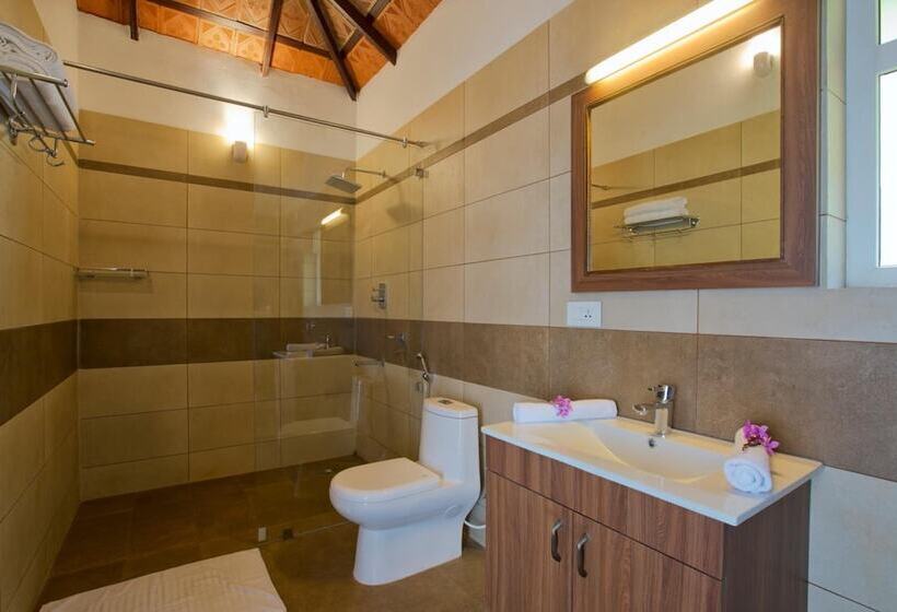 标准间, After The Rains   Rainforest Lodge