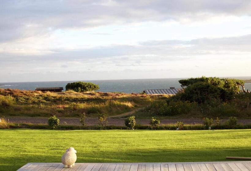 חדר דלוקס צדדי נוף לים, Johanna S