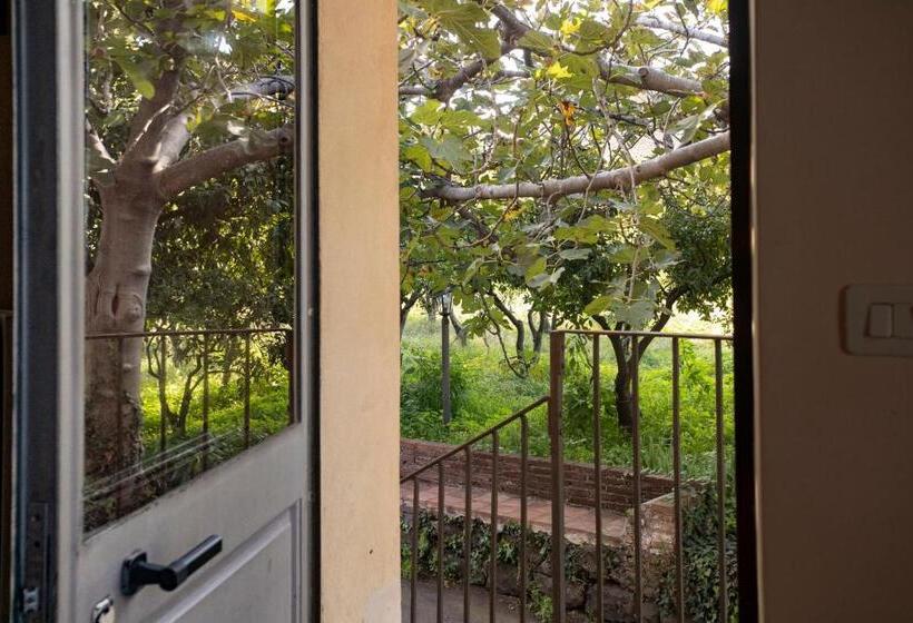 غرفة إقتصادية, Agriturismo San Leonardello