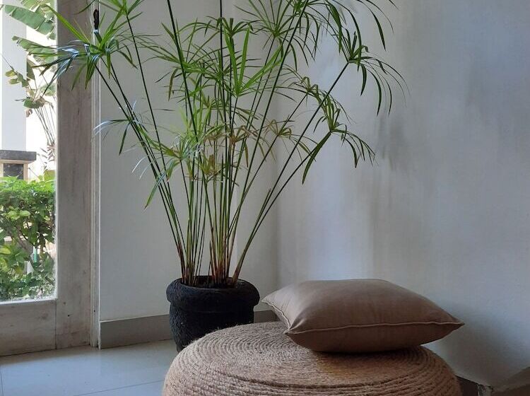 חדר סטנדרט מיטה זוגית, Sahera