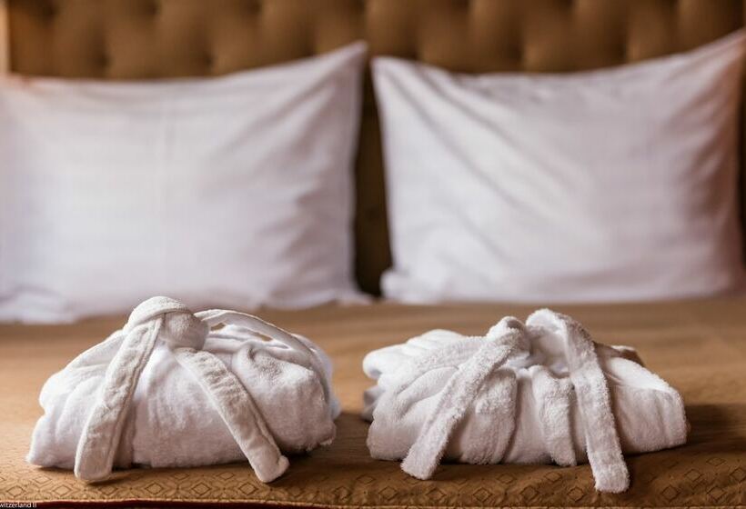 컴포트 룸, Knm Ms Switzerland Ii   Frankfurt