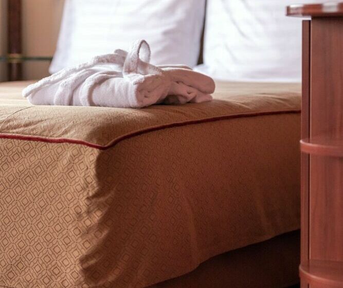 コンフォートルーム, Knm Ms Switzerland Ii   Frankfurt