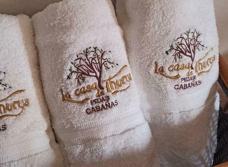 带1个卧室的豪华公寓, La Casa De Thurys