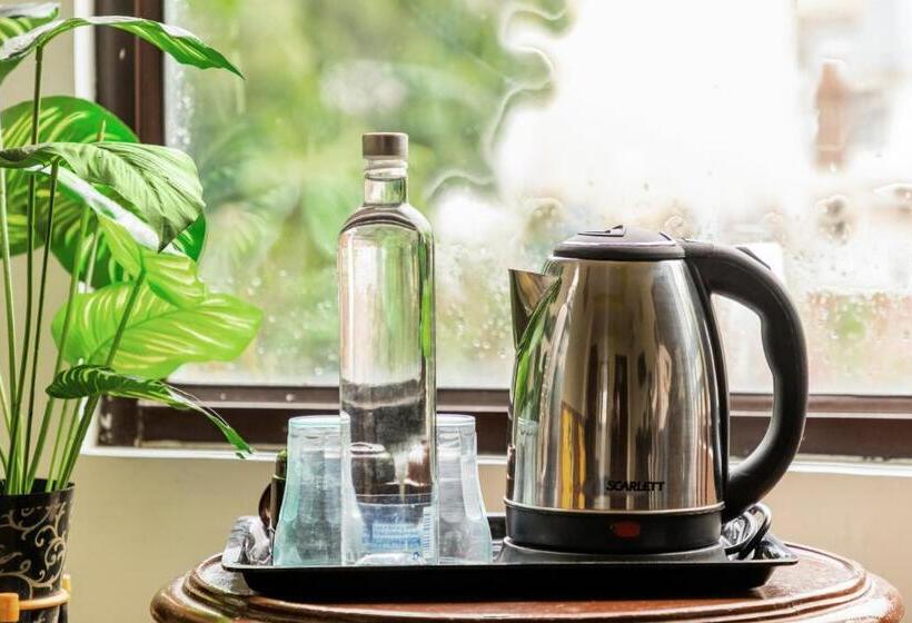 חדר סטנדרט, The Hosteller Udaipur