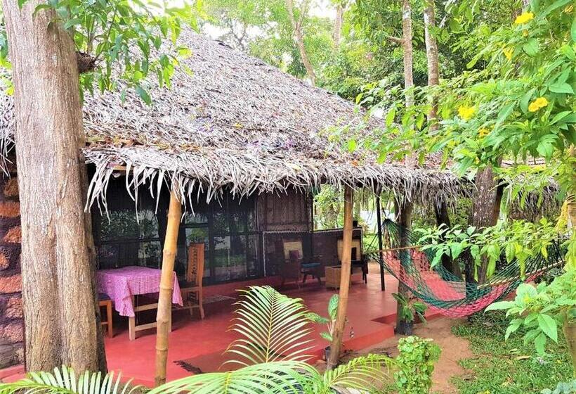 Вилла 1 Спальня Вид на Сад, Marari Dreamz Homestay