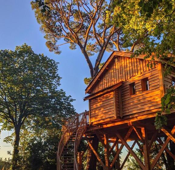 シャレー・スペリアー1寝室, Château Des Fousseries