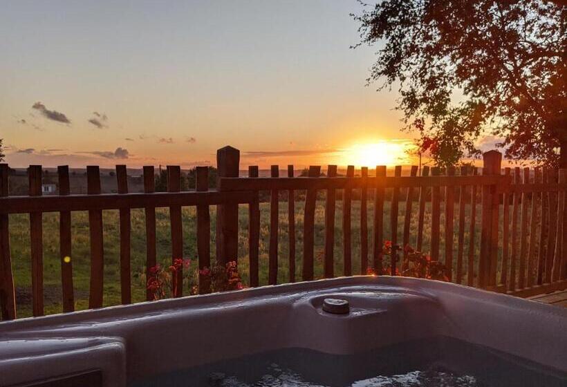 シャレー・スペリアー1寝室, Château Des Fousseries