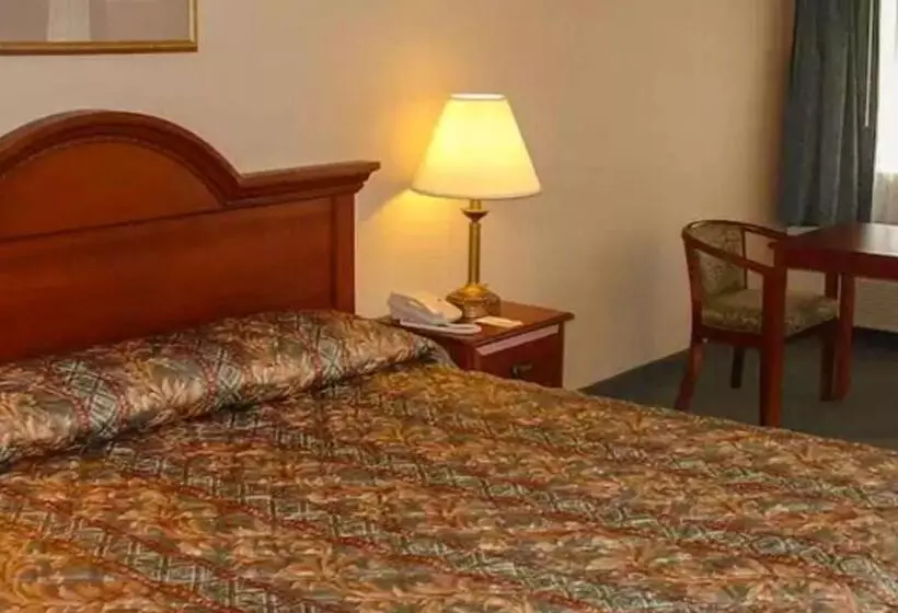 اتاق استاندارد با تخت بزرگ برای معلولان, Country Inn Banning