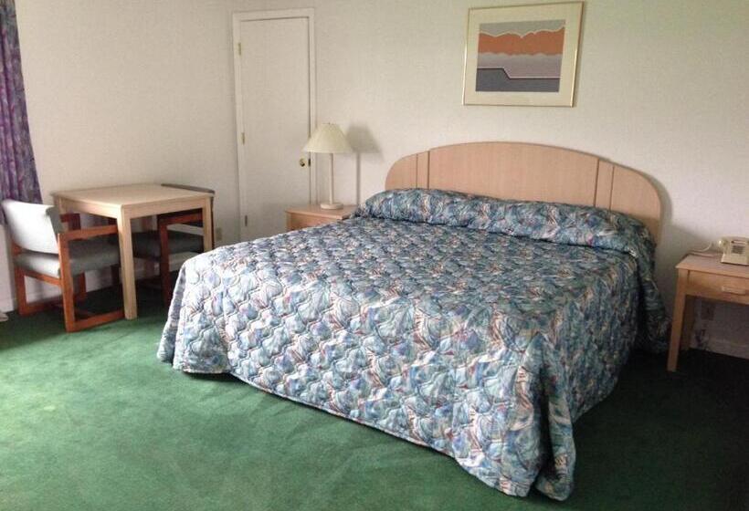 اتاق استاندارد با تخت بزرگ, Economy Inn   Lafayette