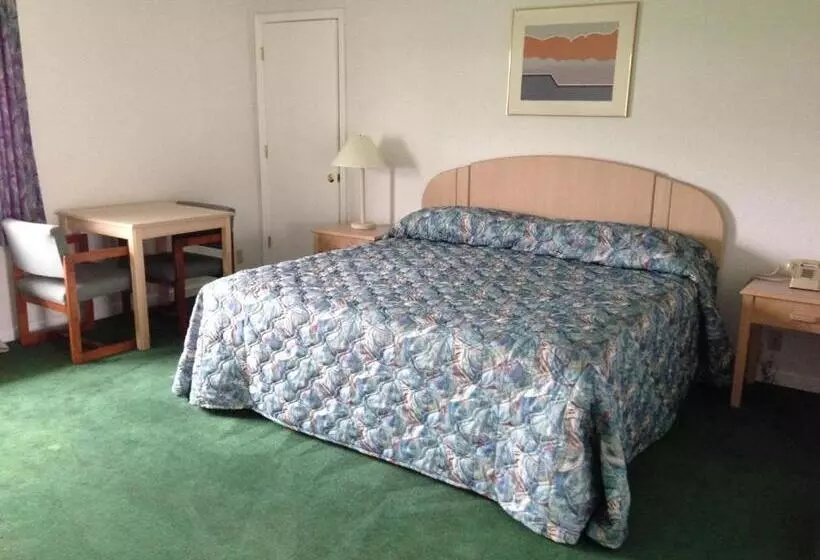 キングサイズベッドのスタンダードルーム, Economy Inn   Lafayette