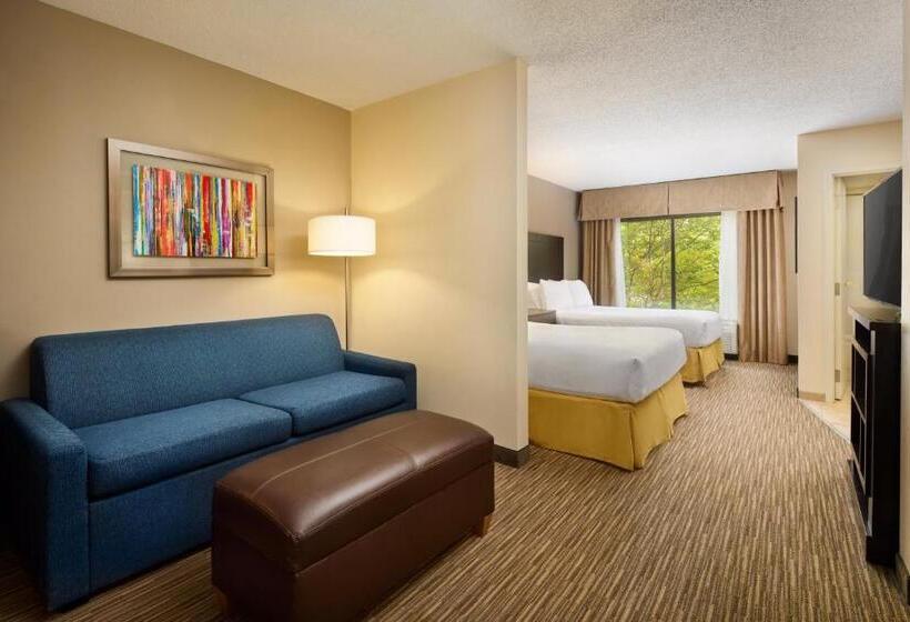 غرفة قياسية, Holiday Inn Express & Suites Alpharetta, An Ihg