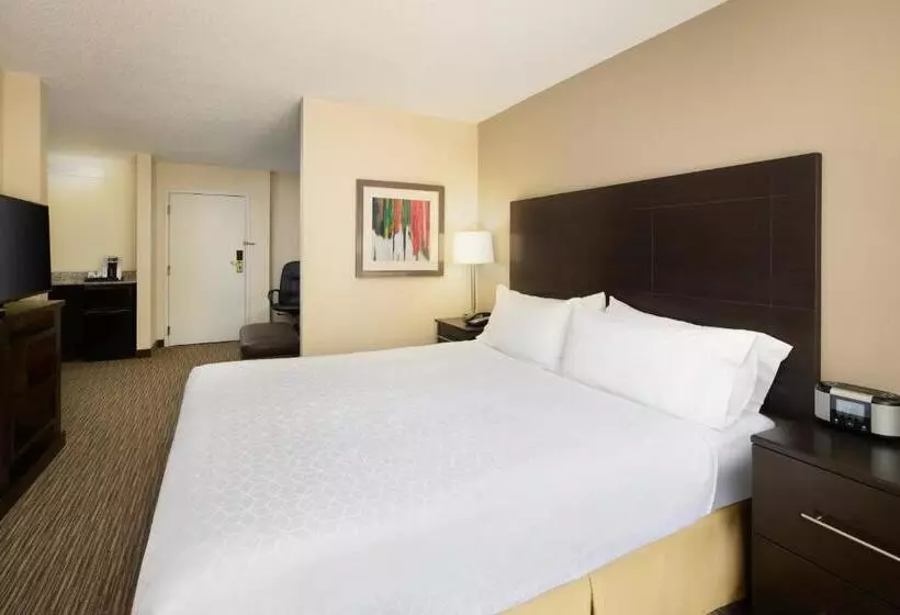 キングサイズベッドのスタンダードルーム, Holiday Inn Express & Suites Alpharetta, An Ihg