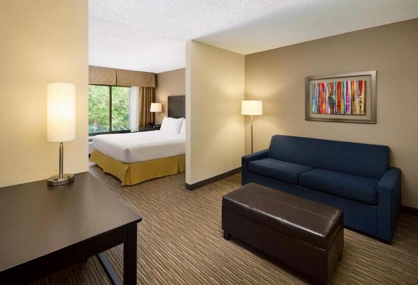 适合残疾人士使用的带超级大床的标准间, Holiday Inn Express & Suites Alpharetta, An Ihg
