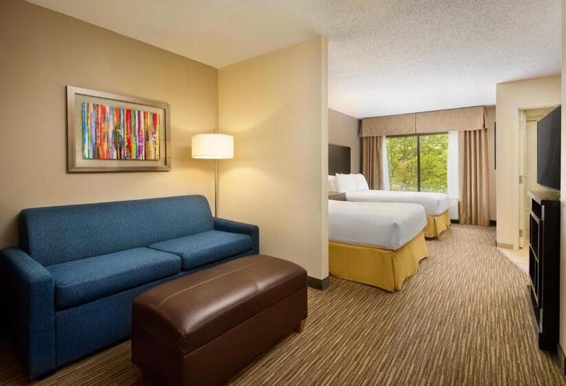 غرفه قياسيه سريرين مزدوجين, Holiday Inn Express & Suites Alpharetta, An Ihg