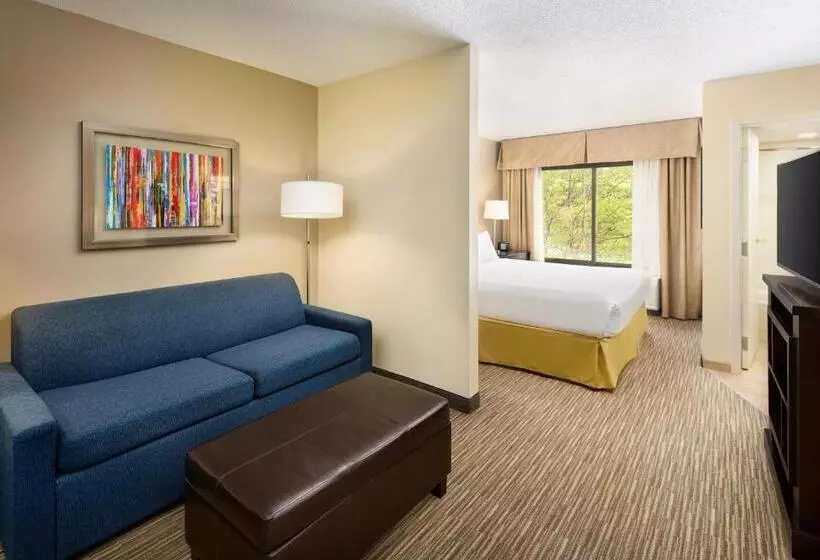 キングサイズベッドのスイートルーム, Holiday Inn Express & Suites Alpharetta, An Ihg