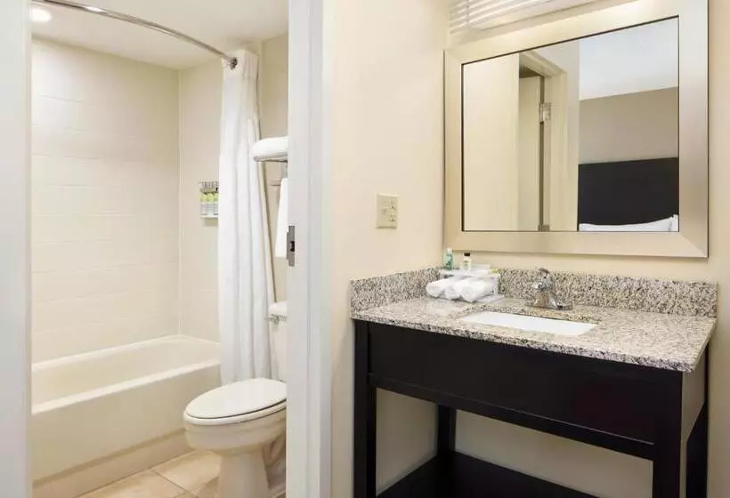 身障者適用スイートルーム, Holiday Inn Express & Suites Alpharetta, An Ihg