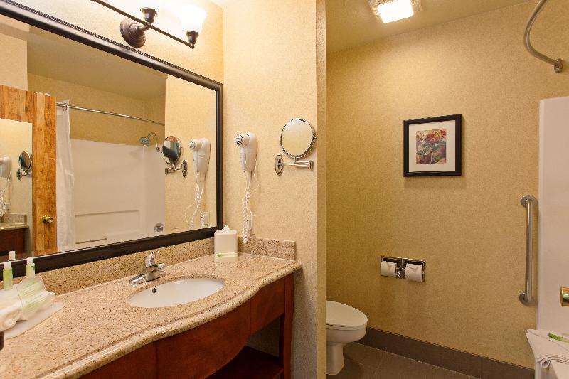 غرفة قياسية سرير كينج, Holiday Inn Express Temecula, An Ihg