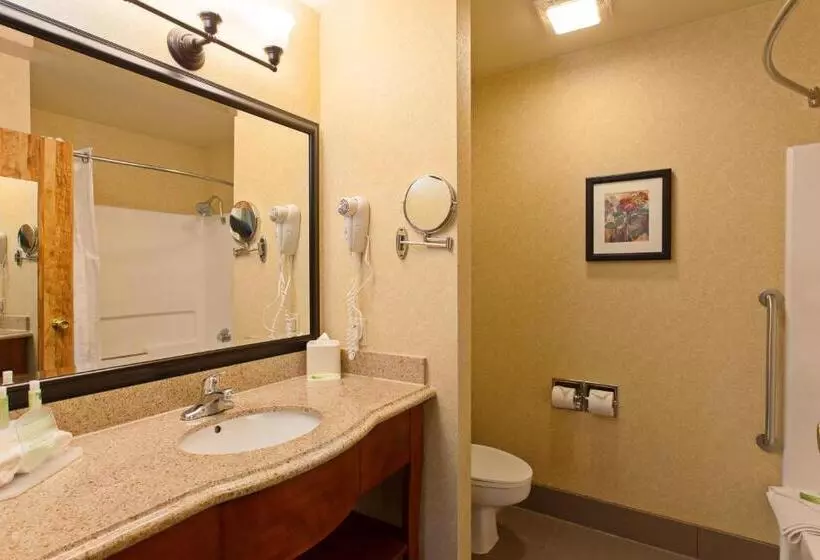 اتاق استاندارد با 2 تخت دوبل, Holiday Inn Express Temecula, An Ihg